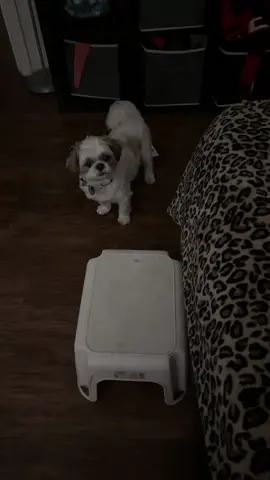 At his house, he isn’t allowed on the bed. At auntie house we make all things possible! #thecartersest2001 