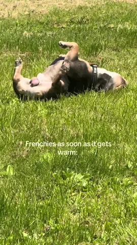 those 🥜’s! #fyp #viral #trending 