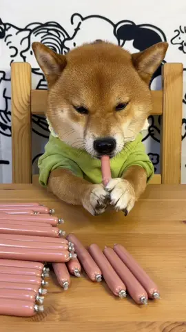 Xúc xích cho chó mèo 😋 #dog #pet #puppy #xucxich #xucxichchomeo 