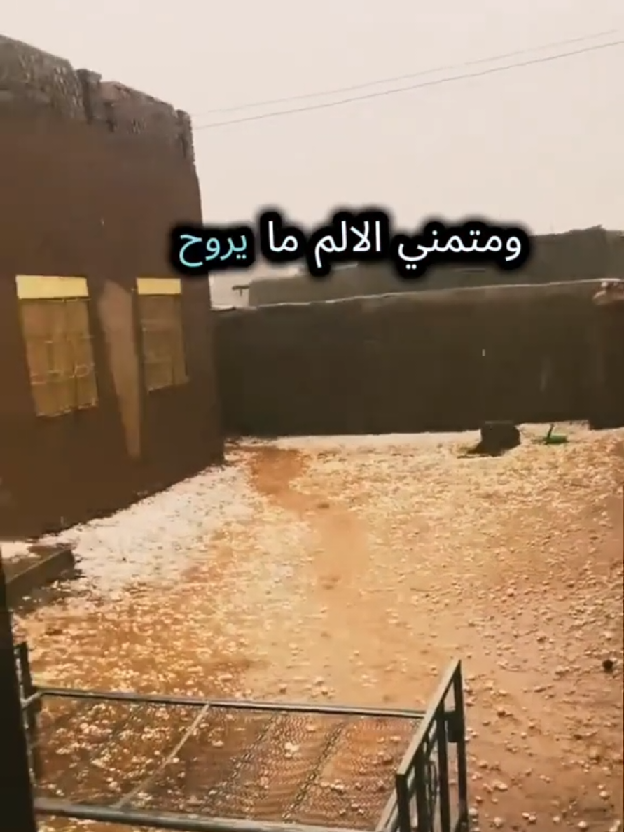 #باحوت #دوبيت_سوداني #السودان_مشاهير_تيك_توك 