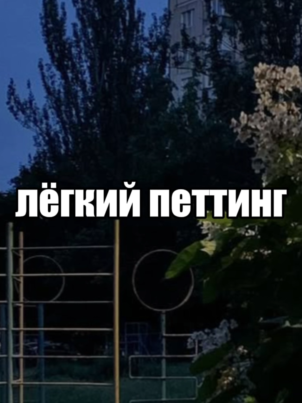 #дайтетанк #обиды #lyrics #текст #текстпесни #реки #рекомендации #rek #актив #надеюсьзайдет #дт #дайтетанкобиды #хзчеписать #daitetank 