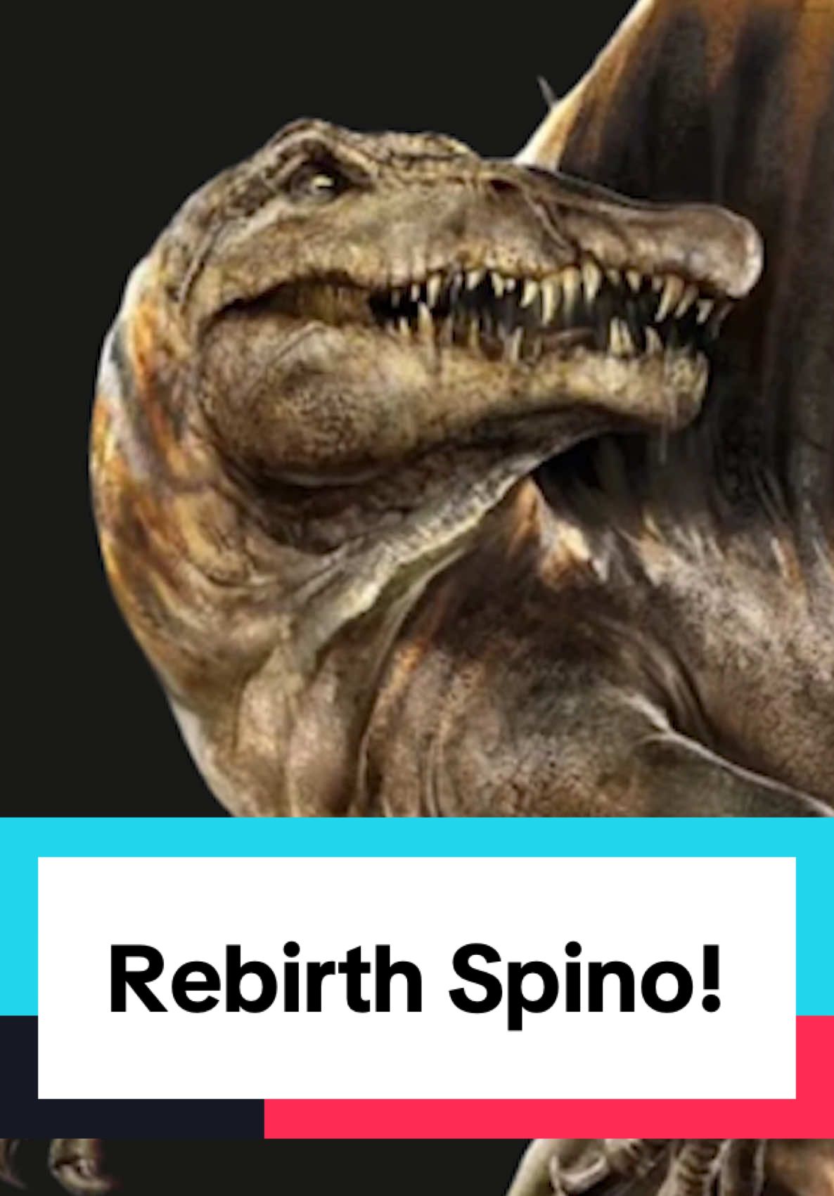 The Jurassic World Rebirth Spinosaurus! #dinotok #dinosaur #LearnOnTikTok #EduTok #accuratedinosaurs 