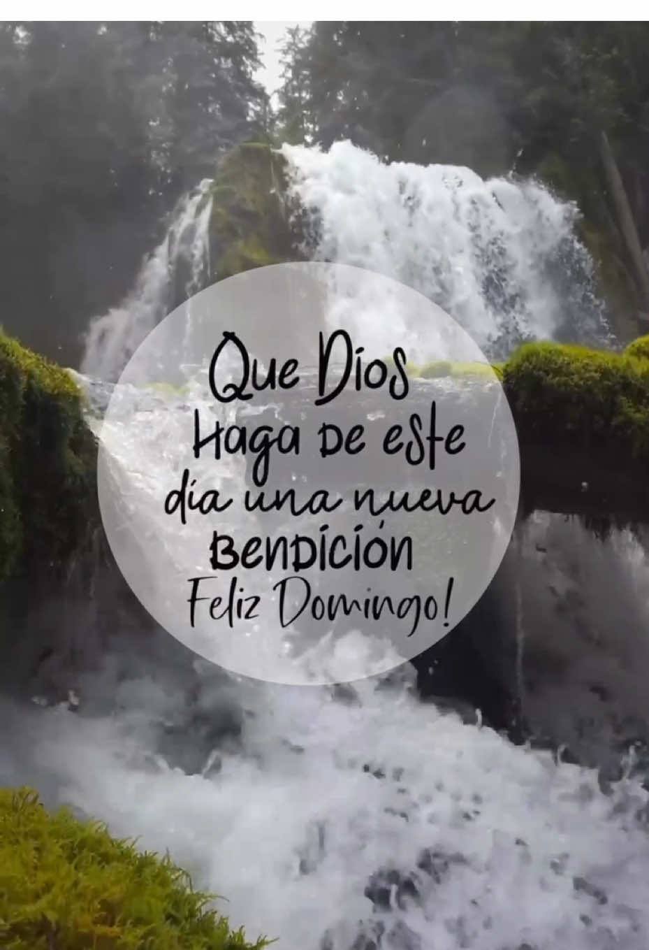 Domingo de bendiciones para ti ❤️🙏✝️ #paratiiiiiiiiiiiiiiiiiiiiiiiiiiiiiii #buenosdias #domingo #felizdomingo #especialparati #victorioso #mensajeparati #bendiciones #buenoesdios 