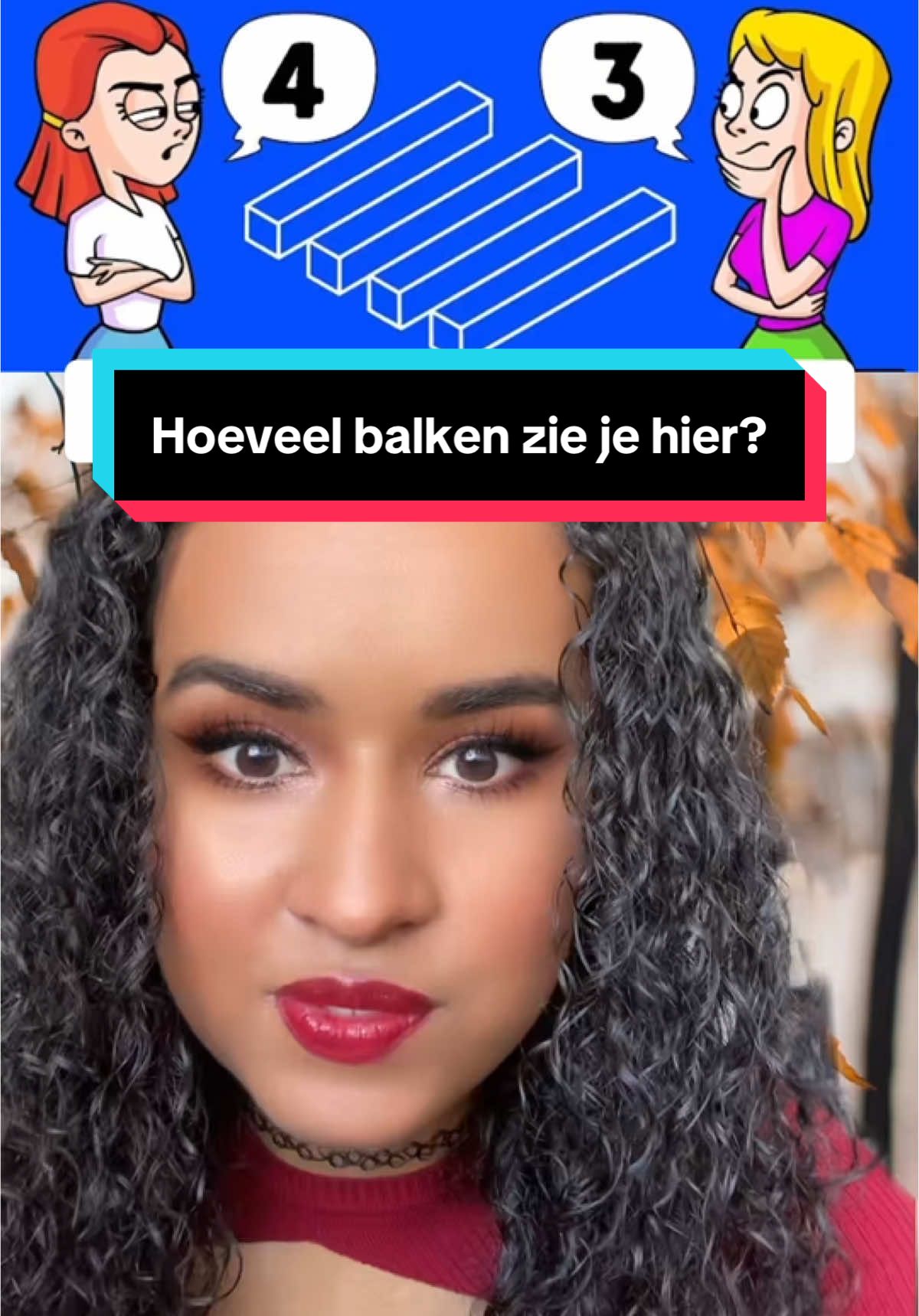 Hoeveel balken zijn dit?😅 like en volg voor meer💗 #raadsels #raadselvandedag #opticalillusion #opticalillusions #optischeillusie #byrachella 