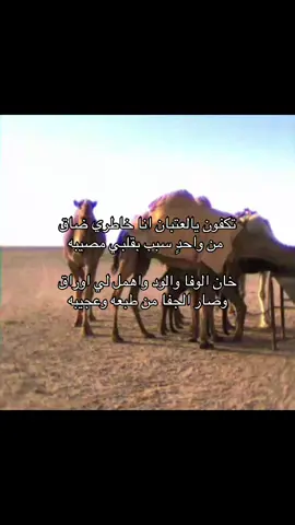 #CapCut #الدوادمي #برقا #الجمش #عتيبه 