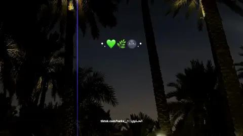 في عشق البنات أنا فقت نابليون😍 . . . #كريم_كريستيانو #حسن_شاكوش #عصام_صاصا_الكروان🖤🎤 #محمود_اليثي_عصام_صاصا #harka__1 #تيك_توك #منير 