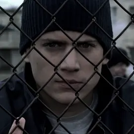 Oh please || #prisonbreak #michealscofield #viral #foryou #edit #couples #fyp #foryoupage #cas 