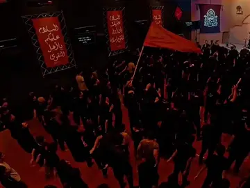 حضرو لحسين الدمع لبسو السواد #سيد_فاقد_الموسوي #رايات_العزاء #حضرو_لحسين_الدمع_ولبسو_السواد💔😥 #عاشوراء #استقبال_محرم #تصميم_فيديوهات🎶🎤🎬 