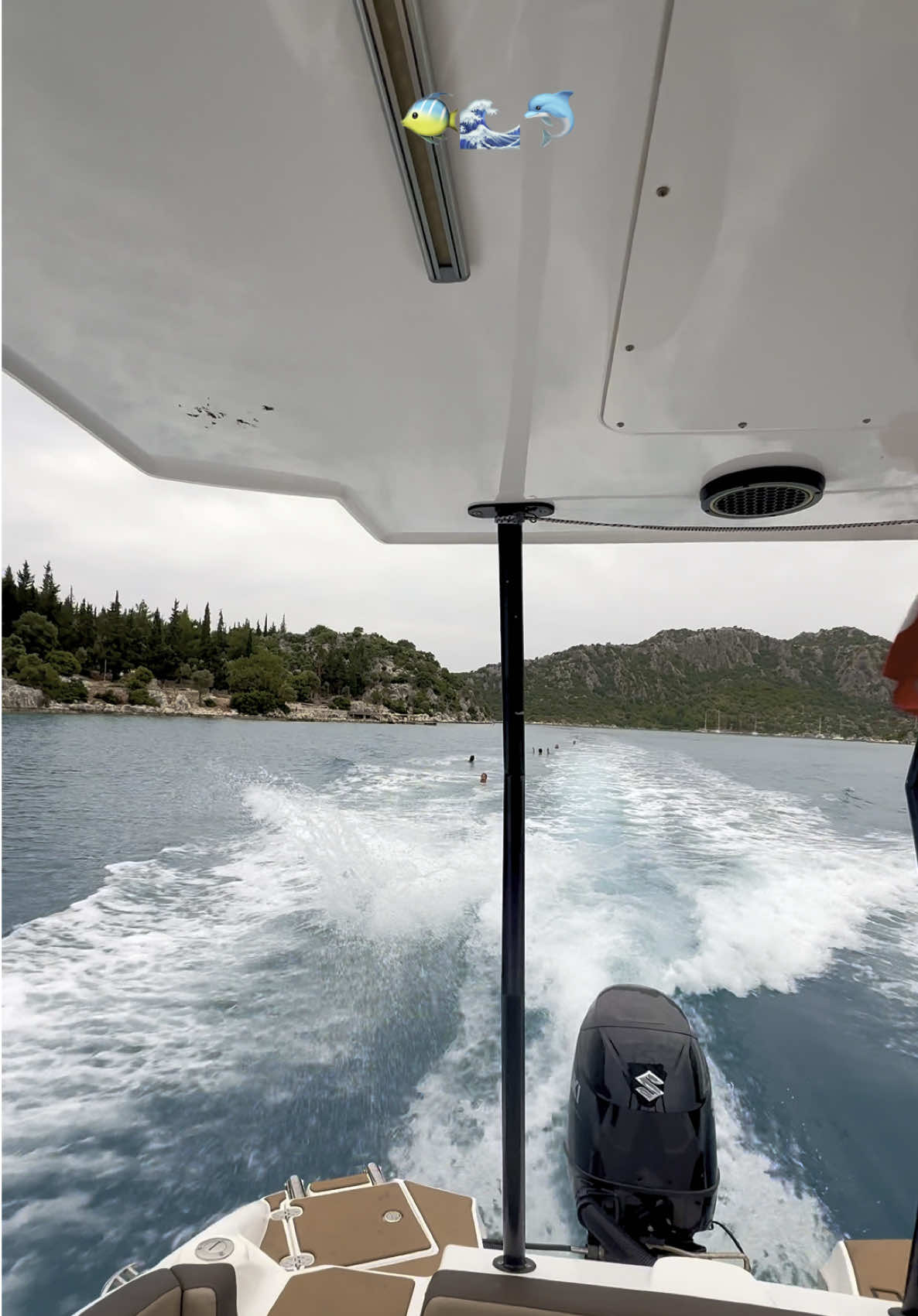 Yaz sezonu açılmıştır 🐠🌊🐬🦀