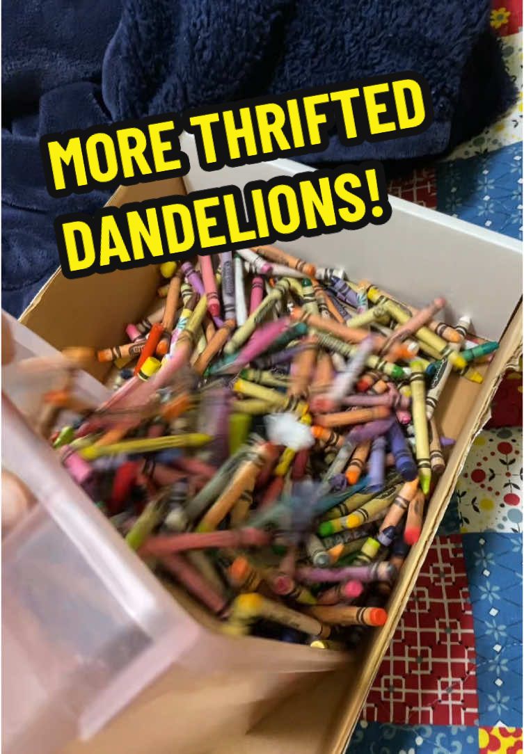 Replying to @emmet2 #dandelioncrayon 