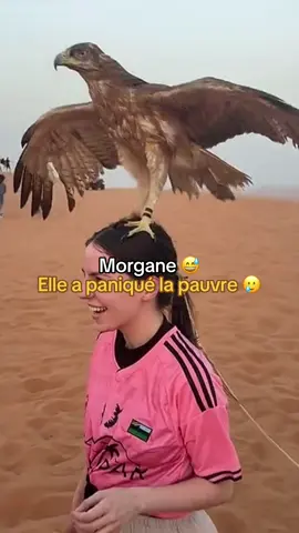 Morgane a paniqué 🦅@morganedas @Team NasDas (Officiel) 