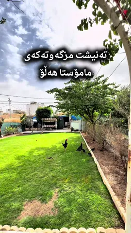 🔹تەنیشت مزگەوتی ڕێدین 🔻خانوویەکی سێ نهۆمی تۆکمە و نەخشە جیاواز بۆ فرۆشتن 🔹ڕووبەری 200 مەترە 🔸بەردەمی باخێکی فراوانە 🔻پێکهاتووە لە سێ نهۆم نهۆمی یەکەم( ژووری میوان-هۆڵی دانیشتن-چێشتخانە-دوو ژووری نوستن-مشتملات) نهۆمی دووەم و سێهەم هەمان نەخشەیە(ژووری میوان-هۆڵی دانیشتن-چێشتخانە-دوو ژووری نوستن-مشتملات-بالکۆن) ▪️خانووەکە بەردەمی باخە و ڕووی خۆرئاوایە ▪️سقف مغریبی و  دکتی مبردە و سیستمی شۆڤاش بەردەستە ▪️موڵکەکە بۆ خێزانی مامناوەند و گەورە گونجاوە ♦️بۆ زانیاری زیاتر دەتوانن بینەر بن  یاخود پەیوەندیمان پێوە بکەن: 07719699570 07505837000 #eluar_real_estate #slemani #kurdistan #sale #realestate #property #rent #achievement #perfect #unstoppable #commercial #villa #baghdad #price #concultant