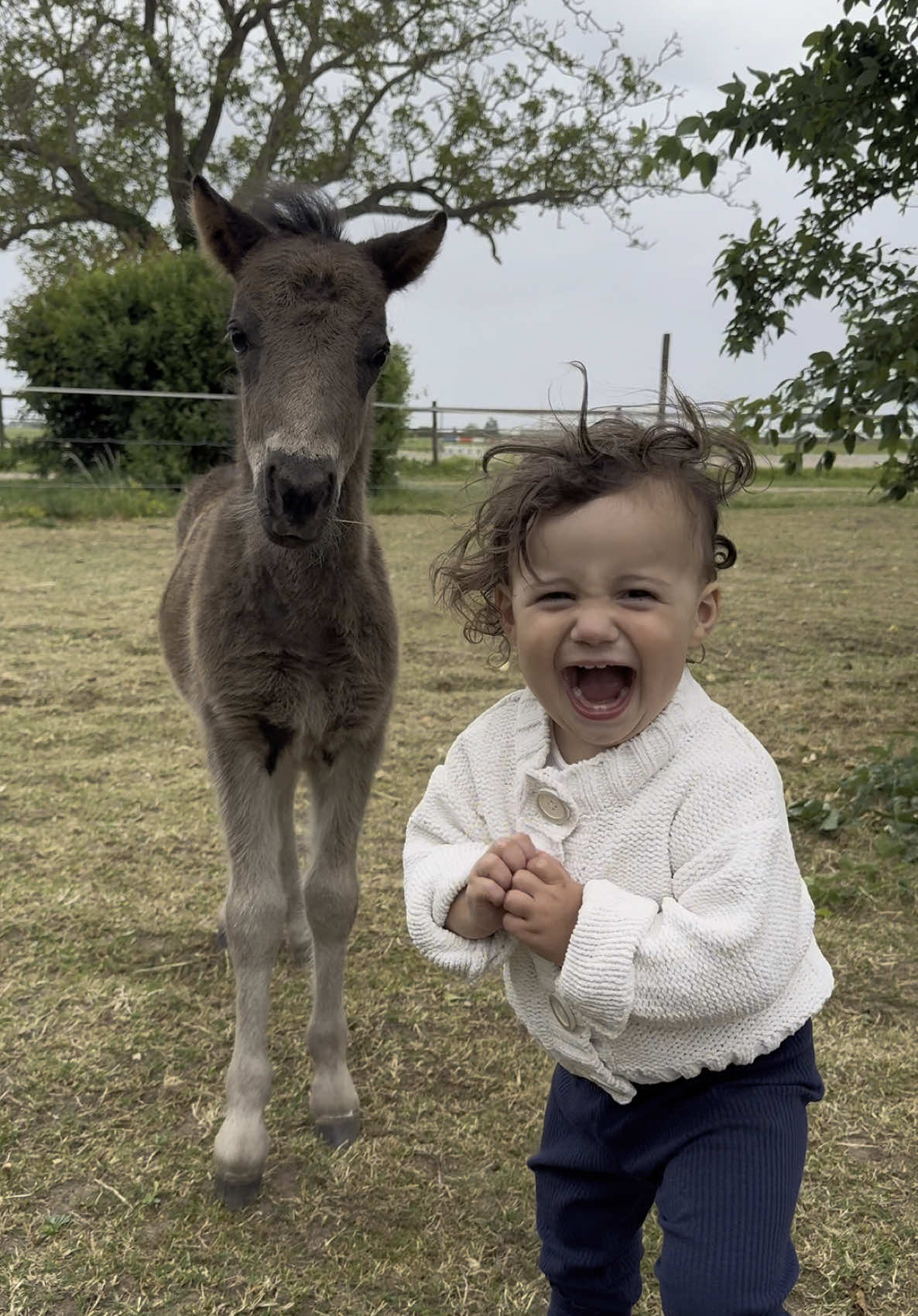 ils sont trop mignons tous les deux ! #bebe #poulain #maternité #cheval
