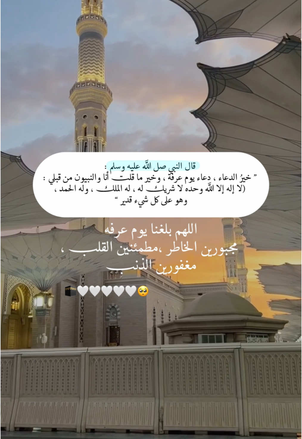 اجمل الادعيه بيوم عرفه🤍🕋 قال النبي صل الله عليه وسلم :  ” خيرُ الدعاء ، دعاء يوم عرفة ، وخير ما قلت أنا والنبيون من قبلي : لا إله إلا الله وحده لا شريك له ، له الملك ، وله الحمد ، وهو على كل شيء قدير “#عشر_ذي_الحجة #يوم_عرفه #ادعيه 