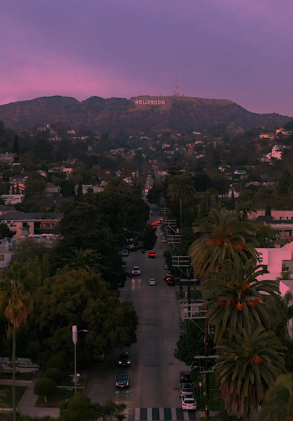 Hollywood Hills 🌴💜 #hollywood #LA #losangeles #california 