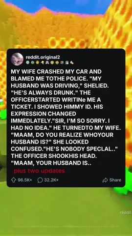 MY WIFE CRASHED MY CAR AND BLAMED ME TOTHE POLICE. 