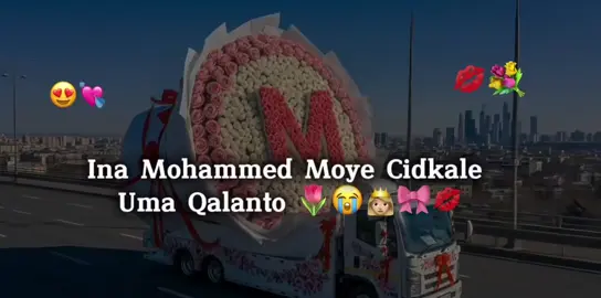 Ina Mohammed 🫶🏽#foryuopage #fyp #vairal #vailar_video #mohammad #ogadenia #ugaskoshin #viewsproblem #arwaa👸🏼 