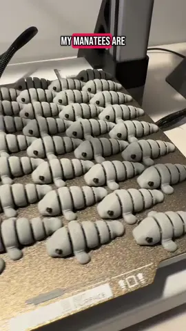 Bambu Labs 3D Printing Adventures #BambuLab #bambulabs #bambulabx1carbon #bambulaba1 #bambulabsp1p #bambulaba1mini #bambulabp1s #bambulabx1c #bambulabsx1carbon #bambua1 #bambua1mini #bambua1minicombo #bambua1series #bambua1combo #a13dprinting #3D #3dprint #3dprinted #3dprinter #3dart #3dprinting #3dprintinglife #3dprints #3dprintinglife #3dprintingnerd #3dprintingtiktok #3dprintingtips #3dprintingideas #3dprintingasmr #3dprintingcommunity #3DPrintingBesties #3dprinteddragon #3dprinteddragonegg #Fidgets