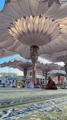 #আসসালামু_আলাইকুম🥀🖤 #ইসলামিক_ভিডিও_🤲🕋🤲 