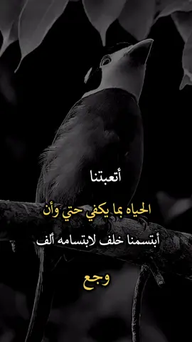 #عبارات_جميلة_وقويه😉🖤 #افضل_عبارة_لها_تثييت #عباراتكم_الفخمه🦋🖤🖇 