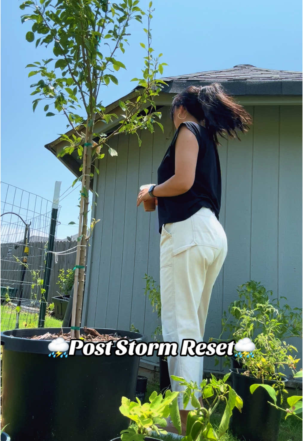 Reset the garden with me! 🫶🏼We had really strong winds sweep through last night, which resulted in many of my tomatoes, tomatillos, and peppers being blown over.. They need serious TLC after that beating! #foryou #gardening101 #reset #growyourownfood #garden 