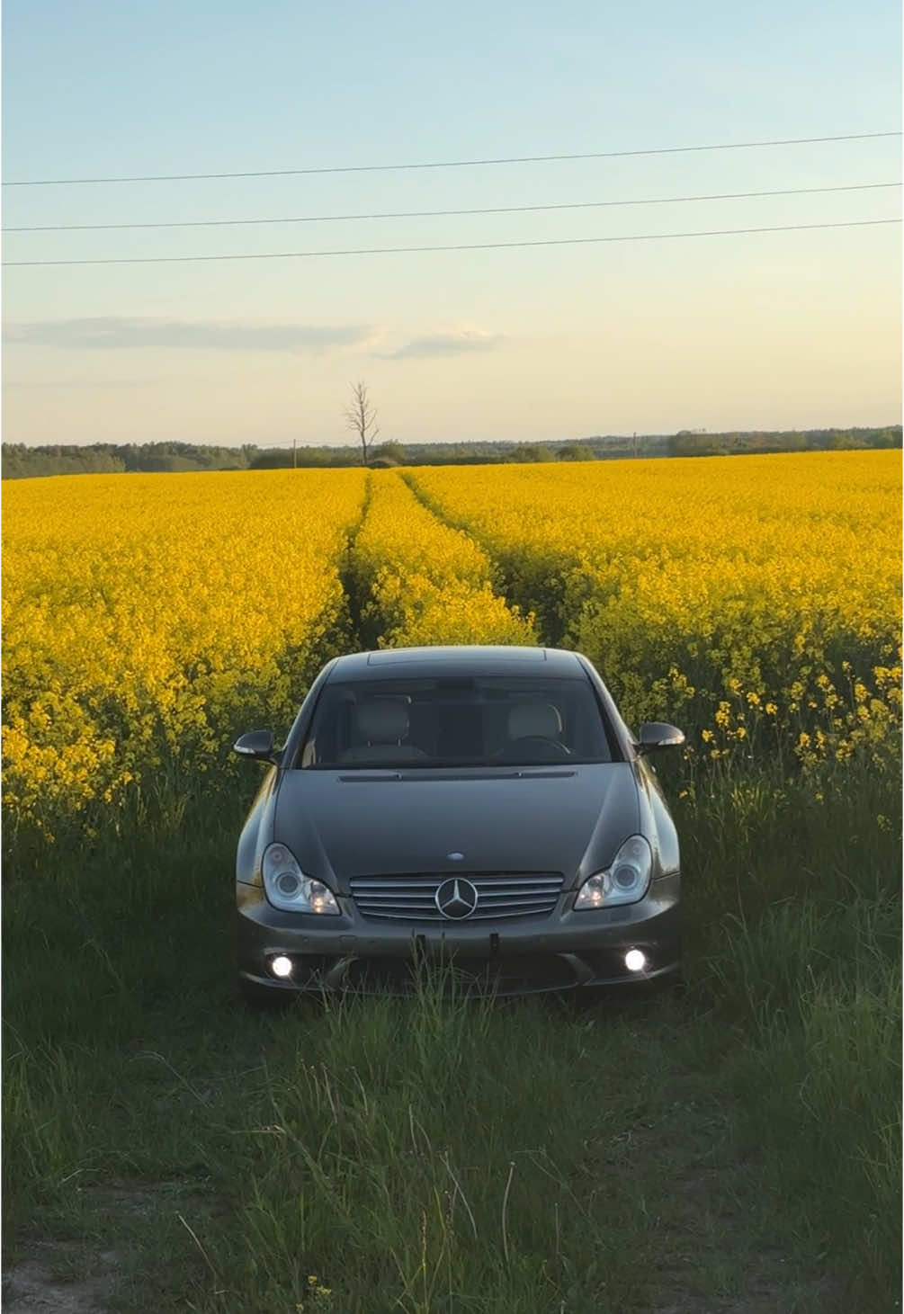 #cls69 #mercedes #amg #cls #cls55amg #cls550 #mercedesbenz #classic 