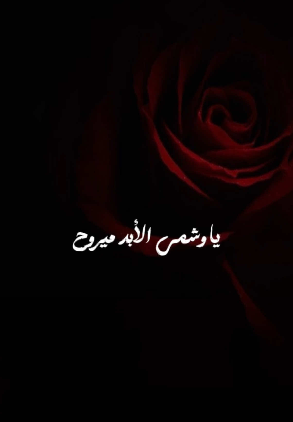 يل ماخذه لعقلي متخاف من اهلي تجي ابالي واني بين اهلي❤️❤️ #اكسبلور #fypシ゚ #fypシ゚vira #fyp #capcut #ca ##تصميمي #تصويري #تصميم_فيديوهات🎶🎤🎬#CapCut #بغداد_العراق #اسطنبول #تركيا #تركيا🇹🇷اسطنبول #بغداد #اربيل #تصويري #تصوير #تصميمي #viral #fyp #fypシ #tik #فديوهات #تصميم_فيديوهات🎶🎤🎬 #اكسبلور #يلوا #يلوا_تركيا #يلوا🌹 #يالوفا #يالوفا❤️🇮🇶🇹🇷 #yalova #yalova77 #مالي_خلق_احط_هاشتاقات #مالي_خلق_احط_هاشتاقات🧢#يوسف #يوسف_الحنين #بالباب 