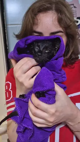 Replying to @gachanyxx Ahhh I love this part 🥹 #fyp #foryou #cat #kitten #catlover #help #catsoftiktok #animals #rescue #cute #pet #Love #emotional #sad #happy #moment #pov #life #makeover #bath 