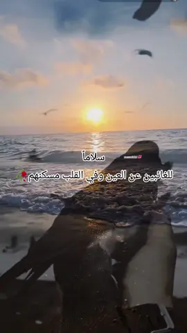 #CapCut #محمد_الفارس #بالله_ياطير_الحمام_اللي_تسافر #iraqi_songs #messo2016 #طرب_عراقي_اصيل #اغاني_عراقية 