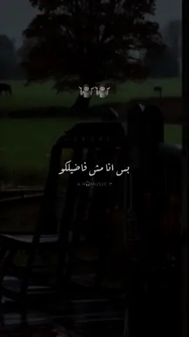 بس انا مش فاضيلكو 😂🤷🏻 #احمد_شيبه #بس_انا_مش_فاضيلكووووووو😉🤗 #لما_افضى_اجيلكم #fyp #fyyyyyyyyyyyyyyyy #foryoupage #aliabdallahofficial #a_r_music #alirahel #viral #احمد_شيبه_انا_مش_فاضلكو #حالات_واتس #تصميمي 