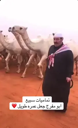 #_اكسبلور #_foryou #تماميات_سبيع🔥 #مفرج_بن_شويه #شوية #رماح #المملكة_العربية_السعودية #عشوايات #مهرجان #مهرجان_الملك_عبدالعزيز_لمزاين_الابل9 #مهرجان_الملك_عبدالعزيز_لمزاين_الابل7 #م #اكسبلورexplore #منقيات #اكسبلور #الصياهد #جادة_الابل 