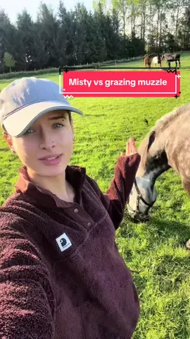 I fear this is only the beginning of a long war..🫠 #equestrian #horsetok #horseriding #equine #horses #horsegirl #horse #horsesoftiktok #equestrianvibes #equestriantiktok #fyp #foryou #abcxyz 