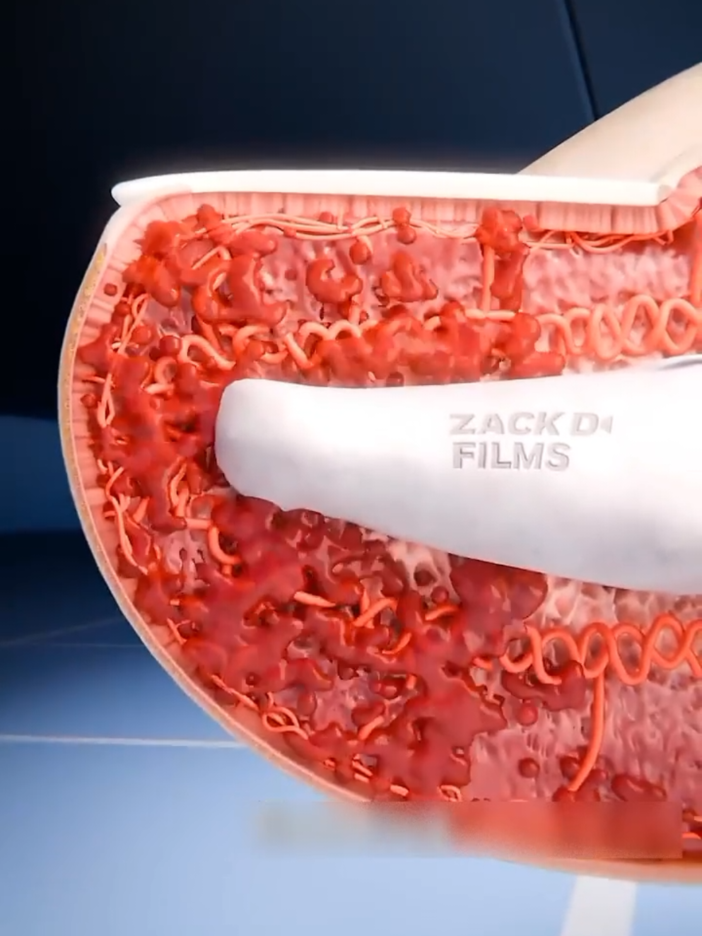 هذا ما سيحدث لك عندما تصدم اصبعك #طبخ #الامارات #مشاهير_تيك_توك #السعودية #مصر #متابعه #مالي_خلق_احط_هاشتاقات  #الشعب_الصيني_ماله_حل😂😂 #بلال_الحداد #رياكت #طب_بشري  #ریاکت #السعودية🇸🇦 #معلومات_طبية 