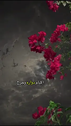#مساكم_جميل_كجمال_قلوبكم 💕🍃