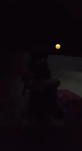 قلبي ع الجول براده  مال المحبين بارد حار.   حوه يابلحوه ❤️🩶😔لك لجنه يايوسف❤️
