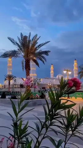 اللہ پاک سب کو جانے توفیق عطا فرمائے آمین 