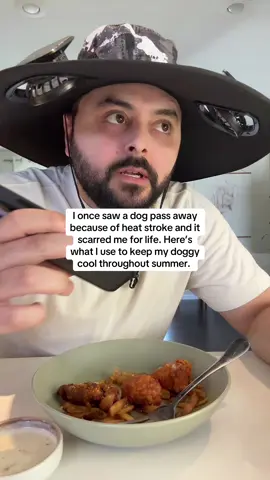 I’ll never forget what I saw — it scarred me. So now, I make it a priority to learn how to keep your dog cool in summer. The FreezeBone is one of the easiest ways to do that. I freeze treats in it and it keeps my dog cool, happy, and safe. If you’ve ever wondered how to keep your dog cool in summer without overcomplicating things, this is it. Every dog owner should know how to keep your dog cool in summer — especially during heat waves. #howtokeeptyourdogcoolinsummer #dogsummerhacks #dogsoftiktok #petparenting #summerdogcare #doghydration #heatstrokeawareness #coolingfordogs #tiktokmademebuyit #fyp 