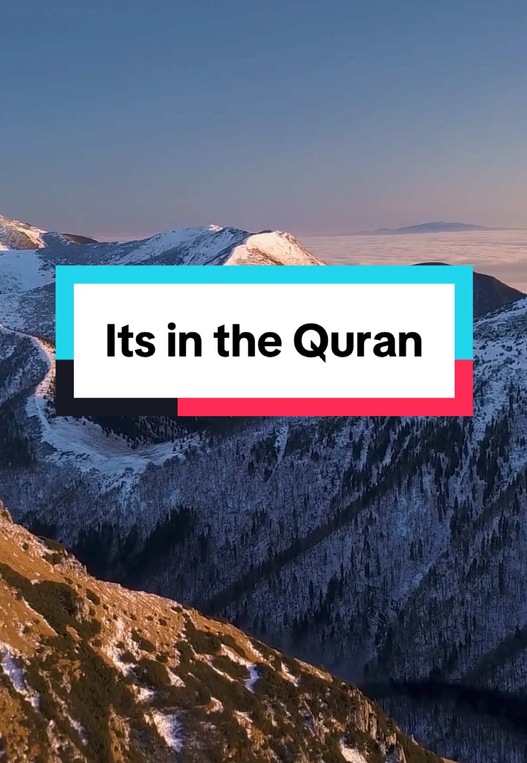 The answers are in the #Quran #islam #muslim #allah #god #godcentric #faith 