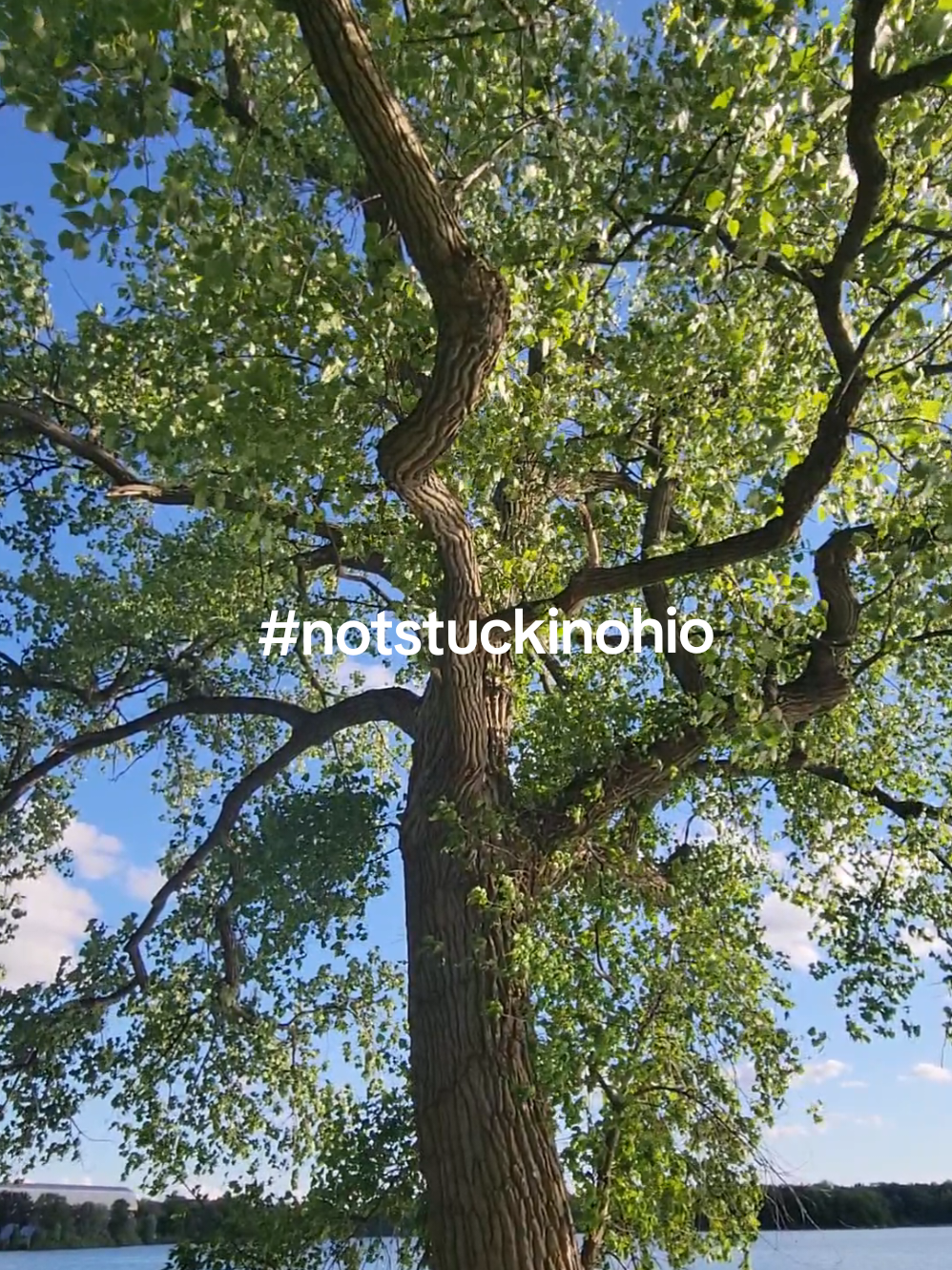 I live here because my whole heart is here. ❤️❤️❤️ #ohio 