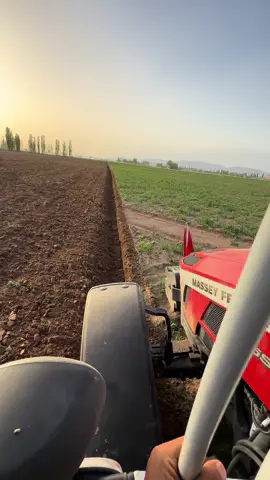 #masseyferguson5s135 #Maşallah🧿 #ünlüpulluk #tarlasürümü #niğde51 #kiledere_kasabasi #patates #global #keşfet 