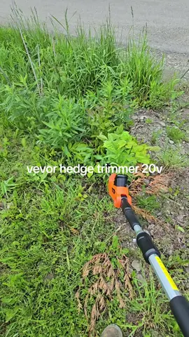 hedge trimmer vevor 20v #vevor #hedgetrimmer #20v #dwscustoms 