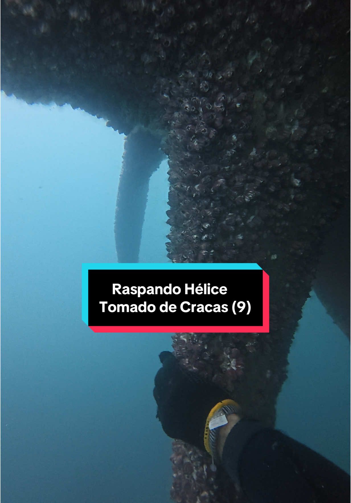 Raspando Hélice Tomado de Cracas (9) #workhard #dive #ship #propeller #mergulho #buceo #navio #maritime #satisfyingvideos 