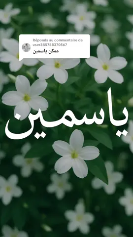 Réponse à @user385758370567  اسم ياسمين صفاته وطاقة حروفه💙❤️ #ياسمين #explore #TikTokVoice #كامليا_تلقي #كاميليا_تكتب #صوت_إذاعي #معاني_الاسماء   #معاني_الأسماء #تحليل_الاسم #طاقة_الأسماء #صوت_كاميليا #كاميليا_تكتب #أسماء_روحانية #رسالة_اسم #اسمك_قصة #جمال_اللغة 