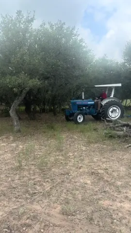 Sometimes you do a wheelie on a Tractor lol #homestead #ford #ford4000 #tractor #accident #funny #nothing happend #lol