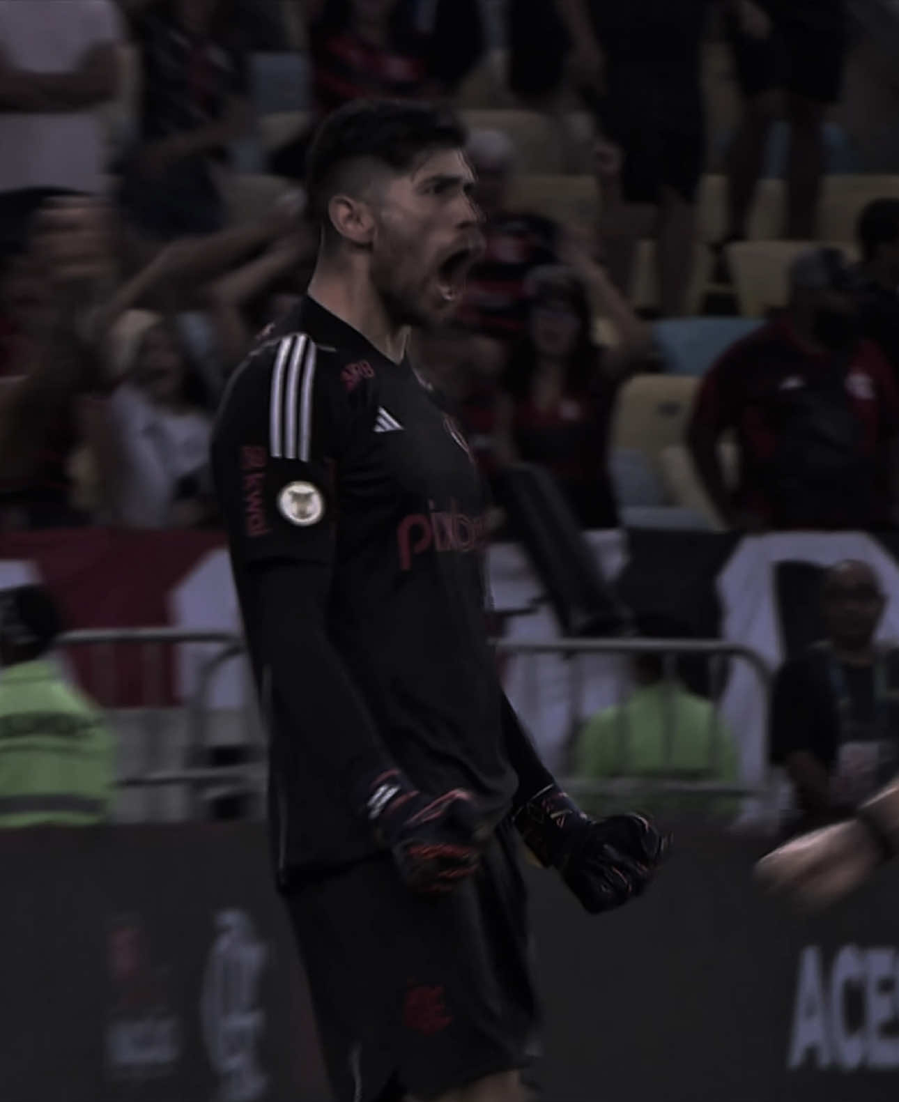 ROOOOSSSSSIIII! 🧤🇦🇷 #rossi #flamengo #palmeiras #penalti #magie #edit #foryoupage #viraliza #futebol #fyp #edit 