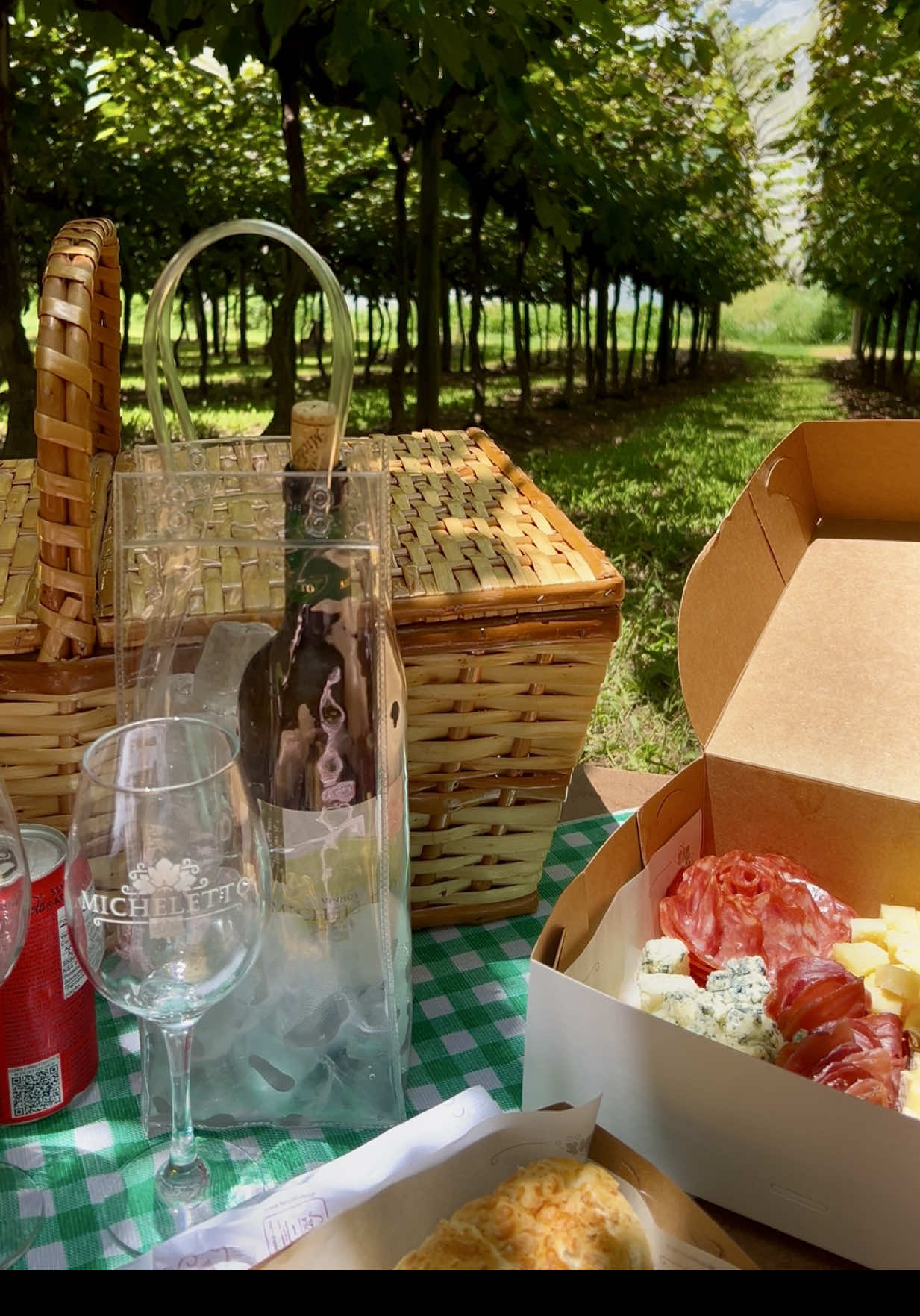 Como é um piquenique numa vinícola!  #vinicola #tiktokfood #gastronomia #turismosp #dicas 