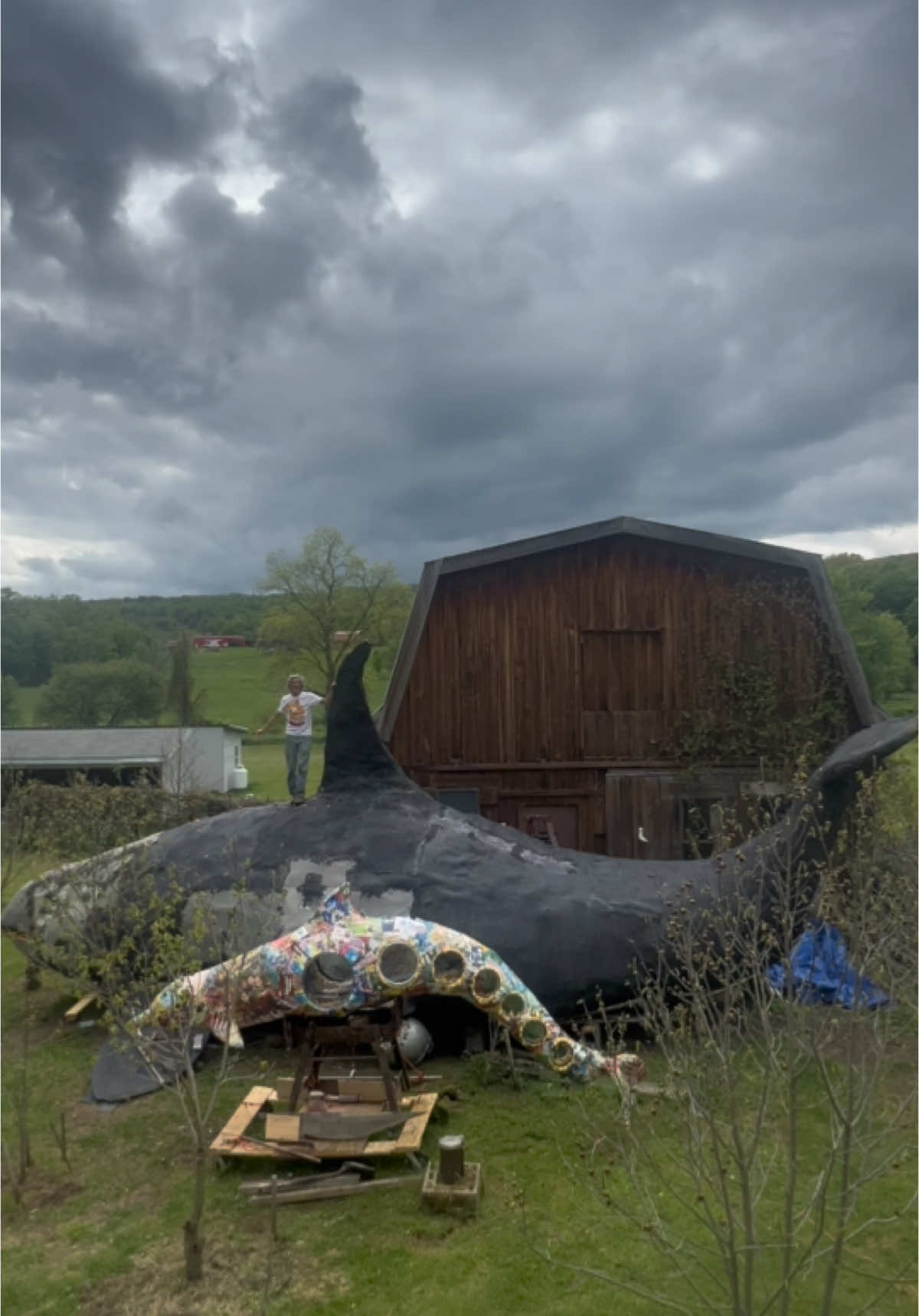Animatronic Ai Orca built in my back yard. 