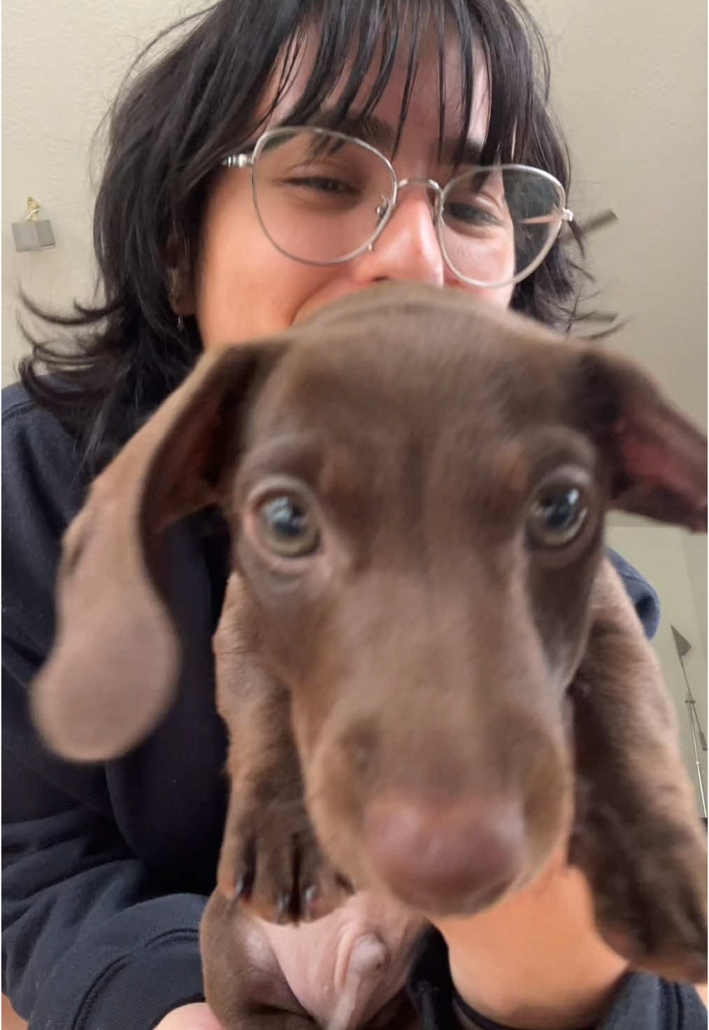 new weiner addition to the family‼️‼️ meet Maximus⚔️