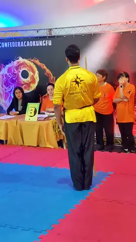 #tskf #kungfu #wushu #artemarcial #artesmarciais #defesapessoal #shaolin #chikung