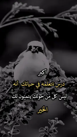 #عباراتكم_الفخمه🦋🖤🖇 #افضل_عبارة_لها_تثييت #عبارات_جميلة_وقويه😉🖤 
